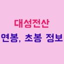대성정보/전산