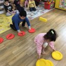 구립효성샛별어린이집 Daum카페