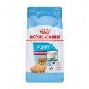 로얄퍼피 이미지