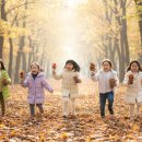 창의력 쑥쑥 어린이 건축교실 | 창원 가볼만한곳 장산대천공원 치유의숲 어린이 가을 자연 숲체험