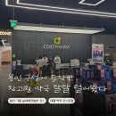 벳전문약국 | 용인 구성역 창고형 약국 코스트팜 후기 | 비숑 강아지약 종류별 총정리 (가격 포함)