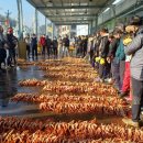 강구수협 이미지