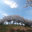 전곡근린공원 이미지