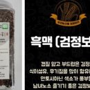 네발로갈때까지 이미지