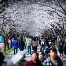 평화누리길 이미지