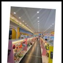 베베펫 천안 강아지분양 고양이분양 이미지