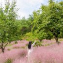 다송농장 이미지