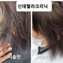 요술공주 미용실