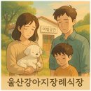 이별공간 | 울산강아지장례식장 울산에서 반려견을 보내며, 이별공간에서 후회 없는 장례를 치렀습니다