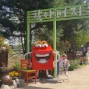 궁평농장 이미지