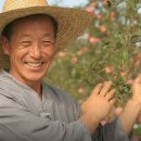 생생농장 이미지