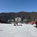 파크하우스 | 비발디파크 보드 강습 후기 캐럿하우스 첫 보드 무조건 강습 추천 이유