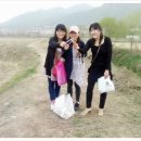 지선정담
