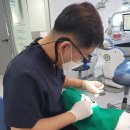 연세대야S치과의원 이미지