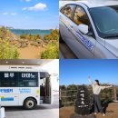 삼진카 | 제주도 렌트카 추천 최저가 예약 제주 렌트카 자차 할인 돌하루팡 슈퍼무제한 후기