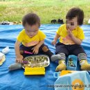 채이농장 이미지