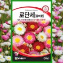 꽃씨플라워