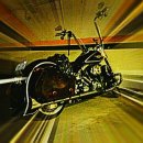 부케팔로스 이미지