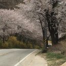 백두대간 종주 북진 5차(괘방령 ~ 화령)