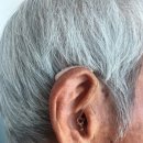 독일보청기 태평센터 이미지