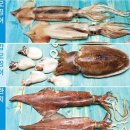 삼형제푸드 이미지