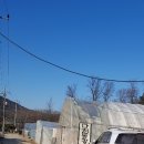 다현농장 이미지