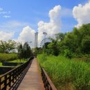 연평해양경찰서 | 인천여행 가볼만한 곳]팔색조 매력을 지닌 인천 월미공원