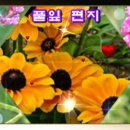 풀잎 Daum카페