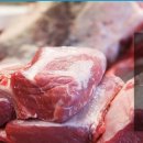 (주)금강바이오 이미지