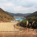 강진맥우축산영농조합법인 매일경제