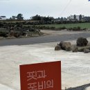 핏과포비의제주