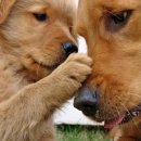 카페일주일 이미지