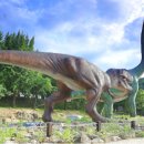 수림목장 이미지