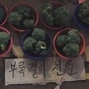 레드토마토 이미지
