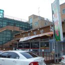 사방팔방국수