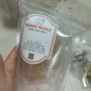 멍스월드 이미지