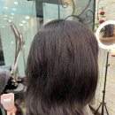 소피아헤어 이미지