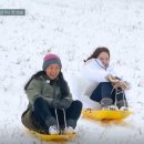 효리네 민박 이미지