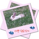양문교회 이미지