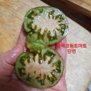 블랙크림토마토 큰토마토 이미지