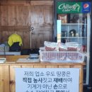 우도 맛집, 싱싱한 물회와 전복보말죽 우도해녀922