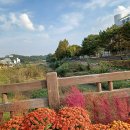 탄동천2 이미지