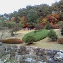 고곡 Daum카페