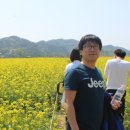 서광덴트칼라