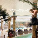캐슬풀리조트 | 의정부 아일랜드 캐슬 실내 워터파크 후기 가족 나들이로 좋은곳