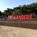 대연유치원 | SSG랜더스필드 문학경기장 1층 피코크테이블 15블럭 H 좌석 시야 후기