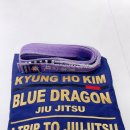 합기도 주짓수 블루드래곤 이미지