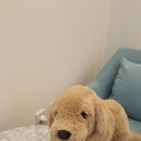 명지로60번길 이미지