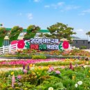 장사익&김영임의 희망콘서트 <판> | 태안국제원예치유박람회 특설무대 미리보기 | 사전탐방 왔어요!! 초대가수라인업 주차장 직접 가본 후기
