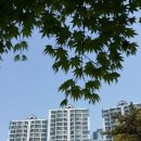천천래미안 공인중개사사무소 이미지